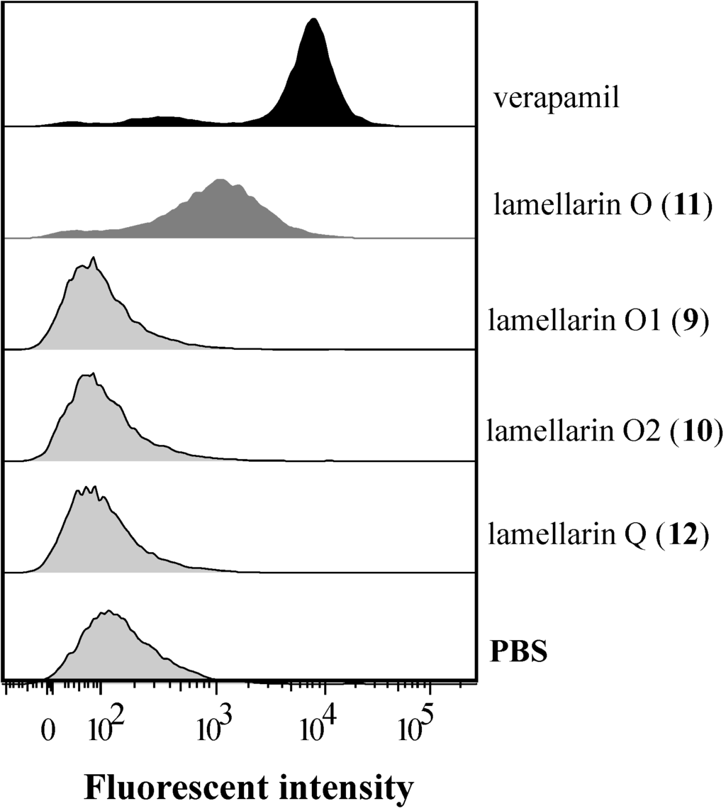 Marinedrugs 12 03818 g003 1024