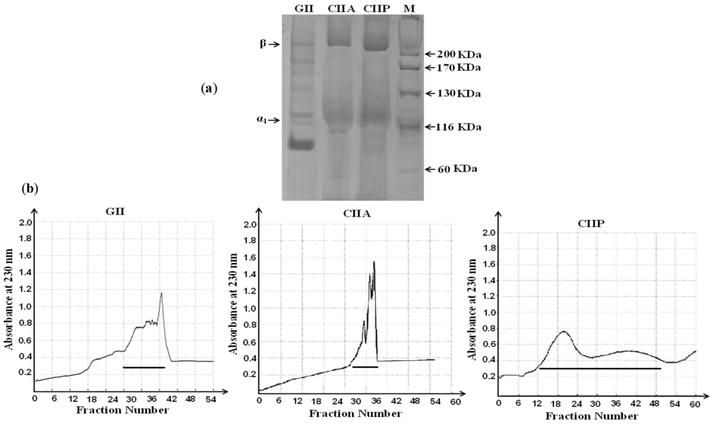 Marinedrugs 12 03852 g001 1024