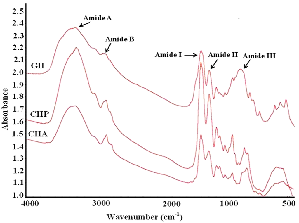 Marinedrugs 12 03852 g006 1024