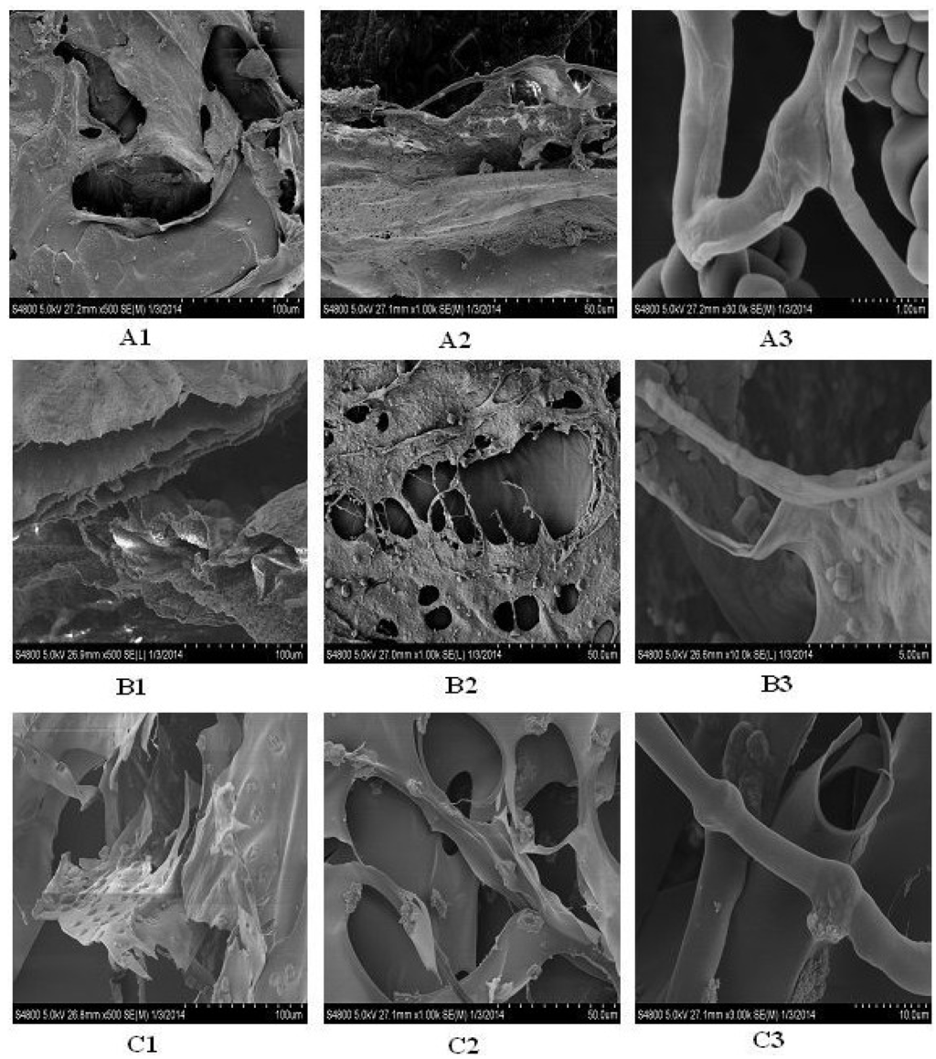 Marinedrugs 12 03852 g008 1024