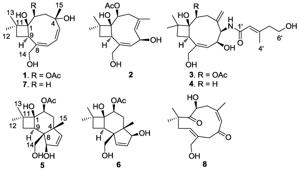Marinedrugs 12 03904 g001 1024
