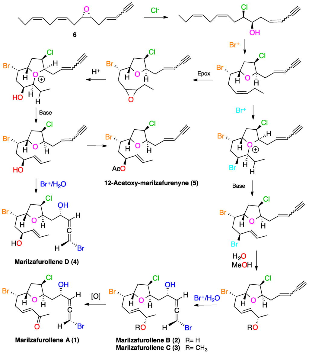 Marinedrugs 12 04031 g006 1024