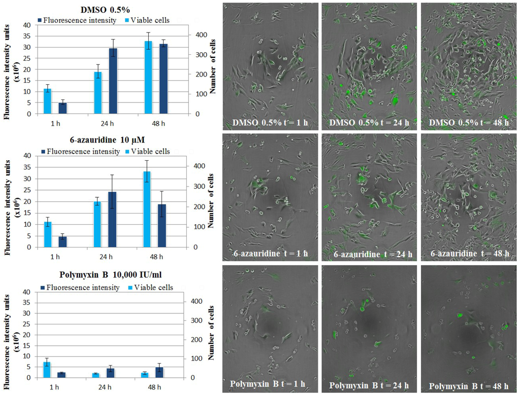 Marinedrugs 12 04045 g006 1024