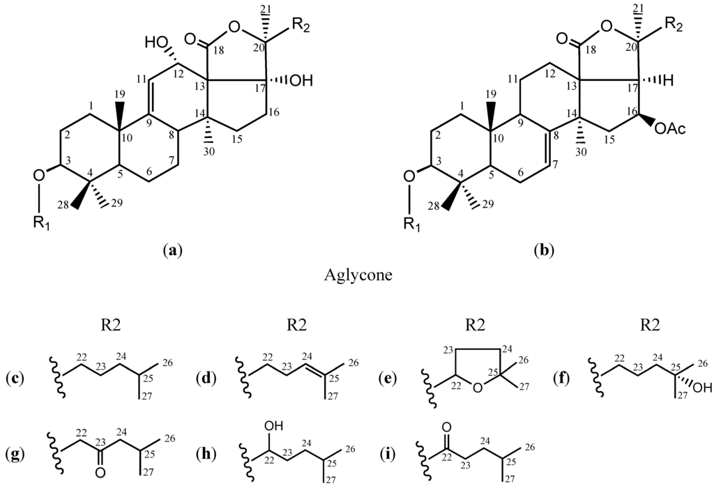 Marinedrugs 12 04274 g001 1024