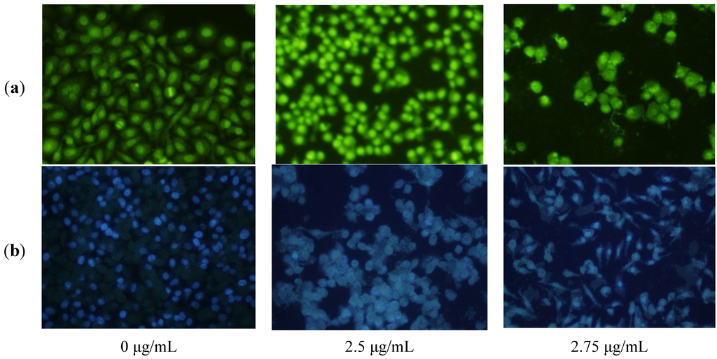 Marinedrugs 12 04274 g003 1024