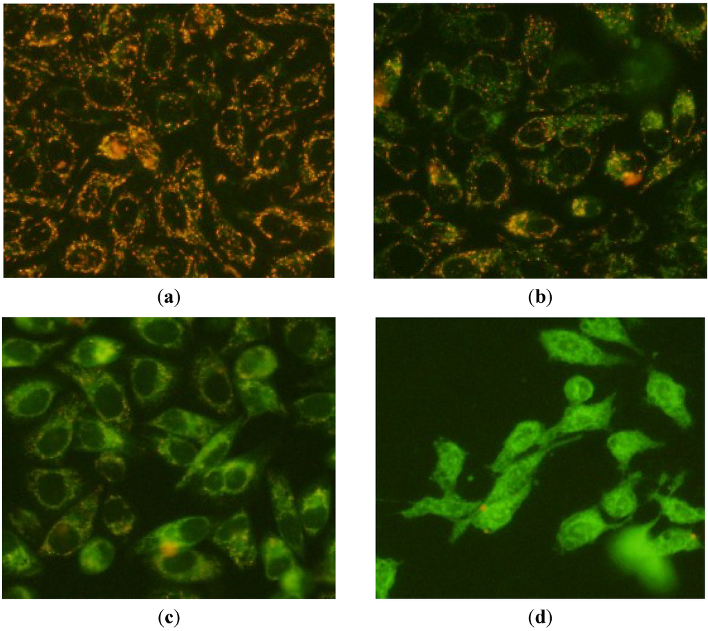 Marinedrugs 12 04274 g004 1024