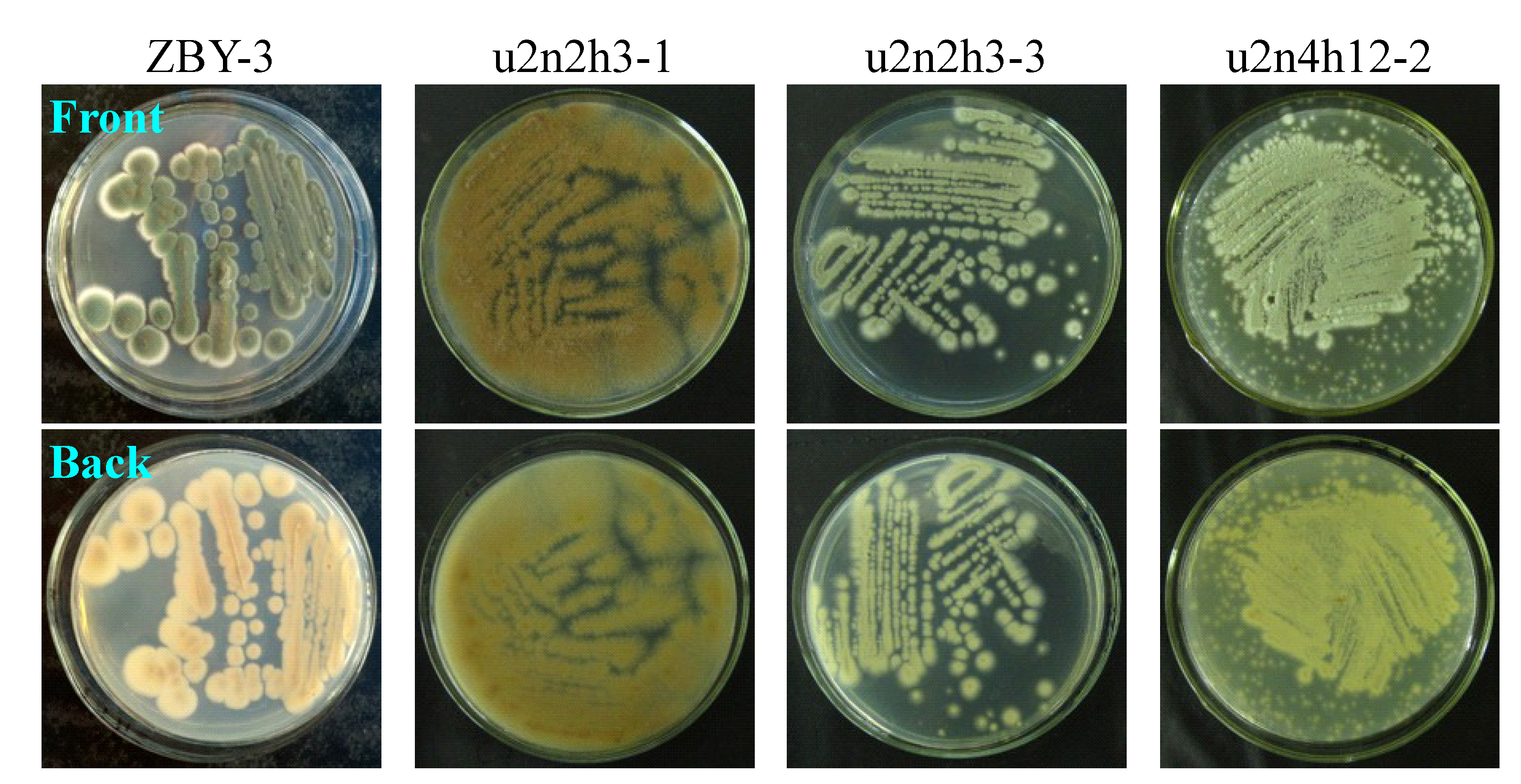 Marinedrugs 12 04326 g002