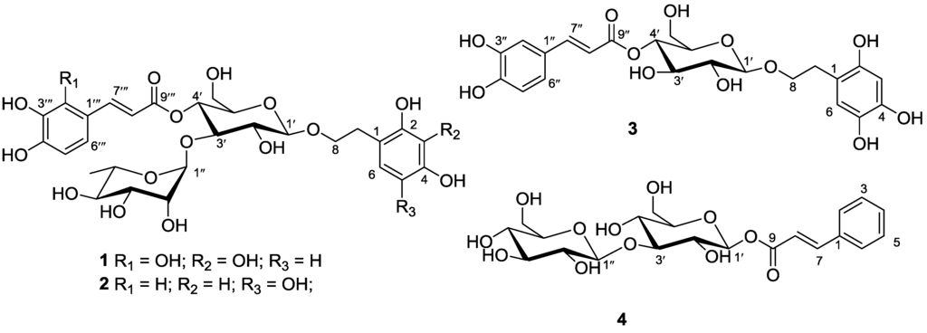 Marinedrugs 12 04353 g001 1024