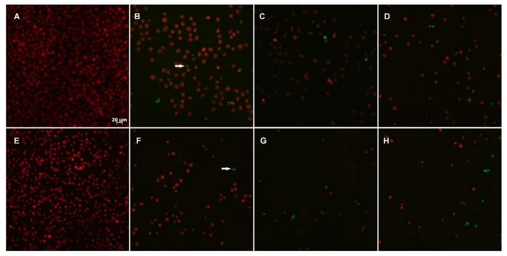 Marinedrugs 12 04361 g006 1024