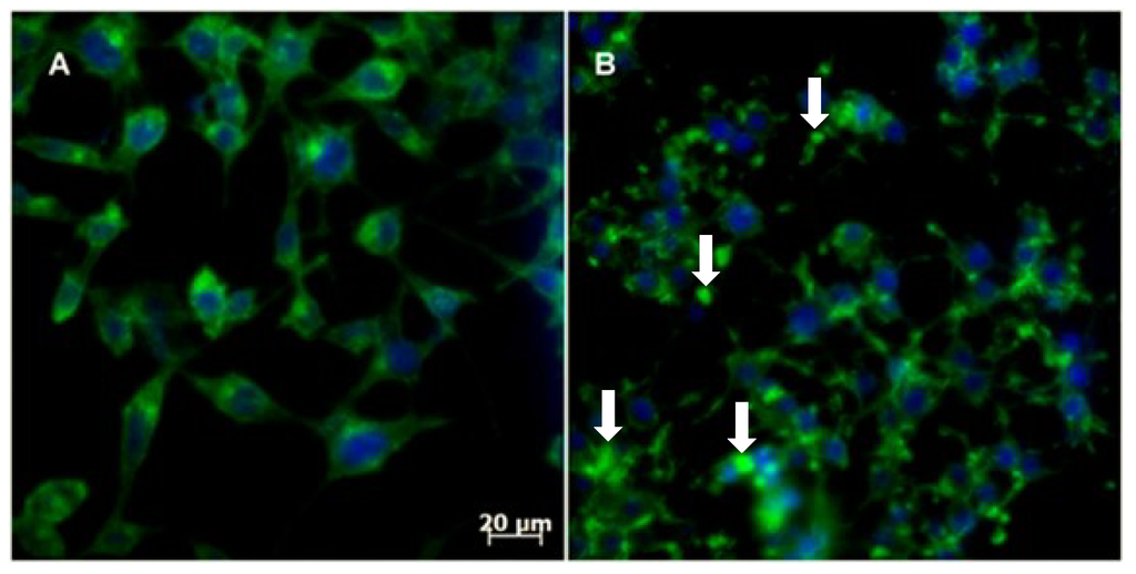 Marinedrugs 12 04361 g007 1024