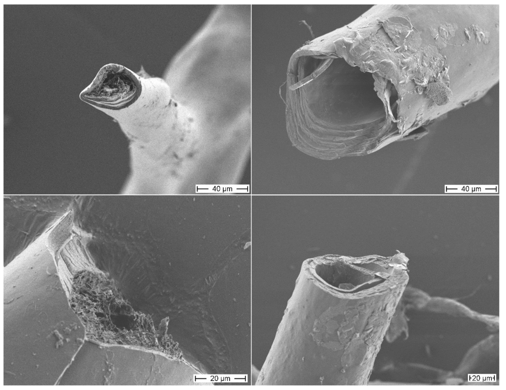 Marinedrugs 12 04417 g001 1024