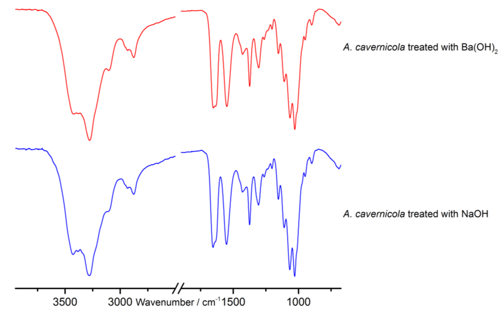 Marinedrugs 12 04417 g002 1024