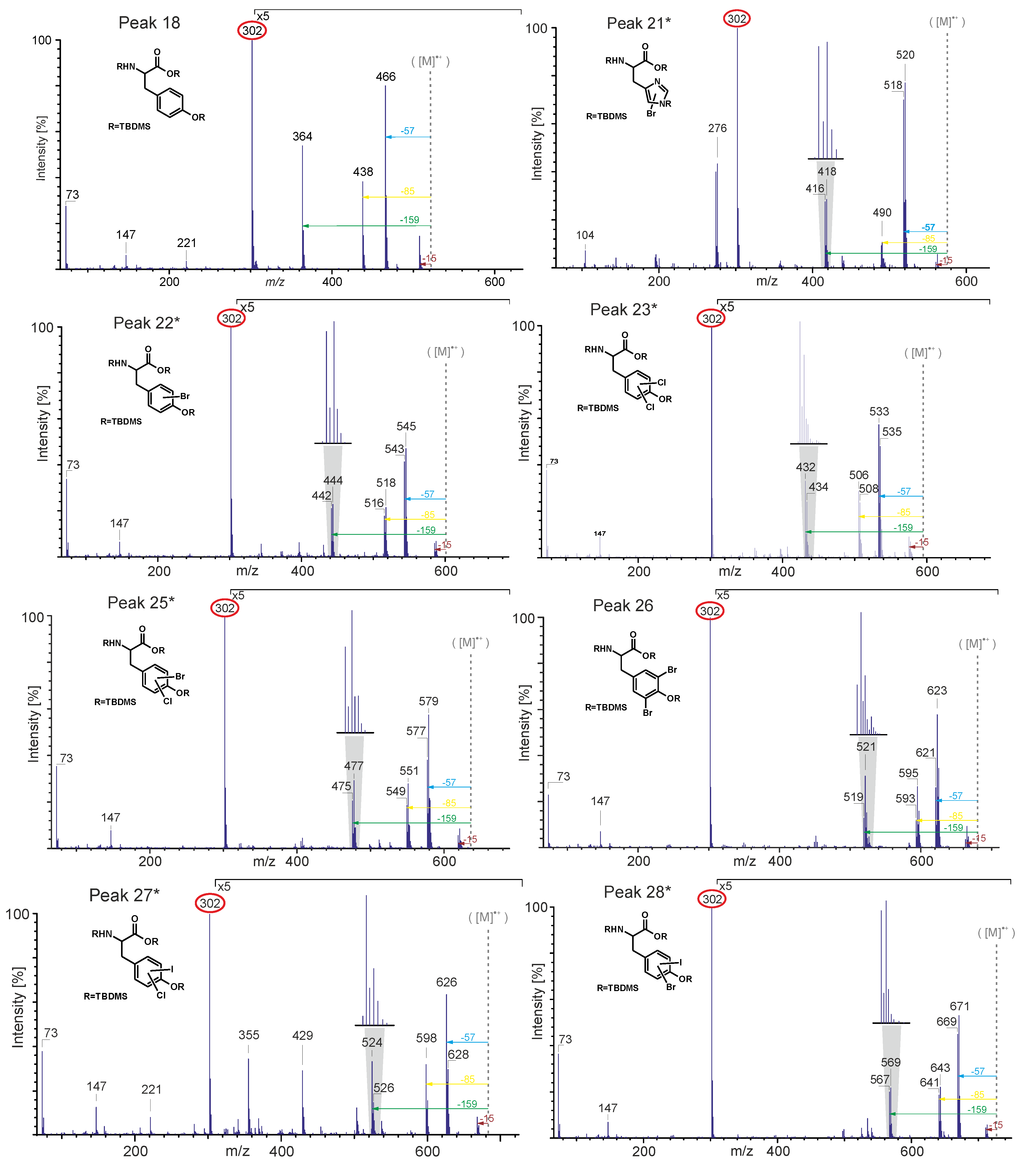 Marinedrugs 12 04417 g005 1024