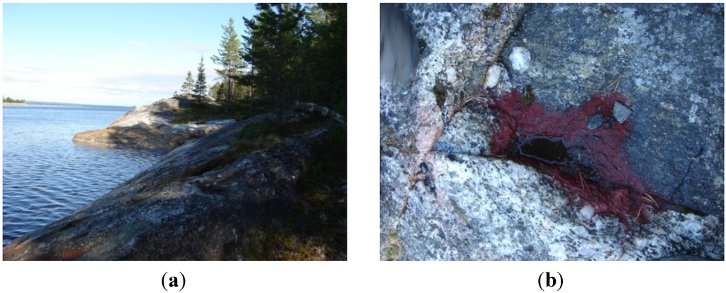 Marinedrugs 12 04504 g001 1024