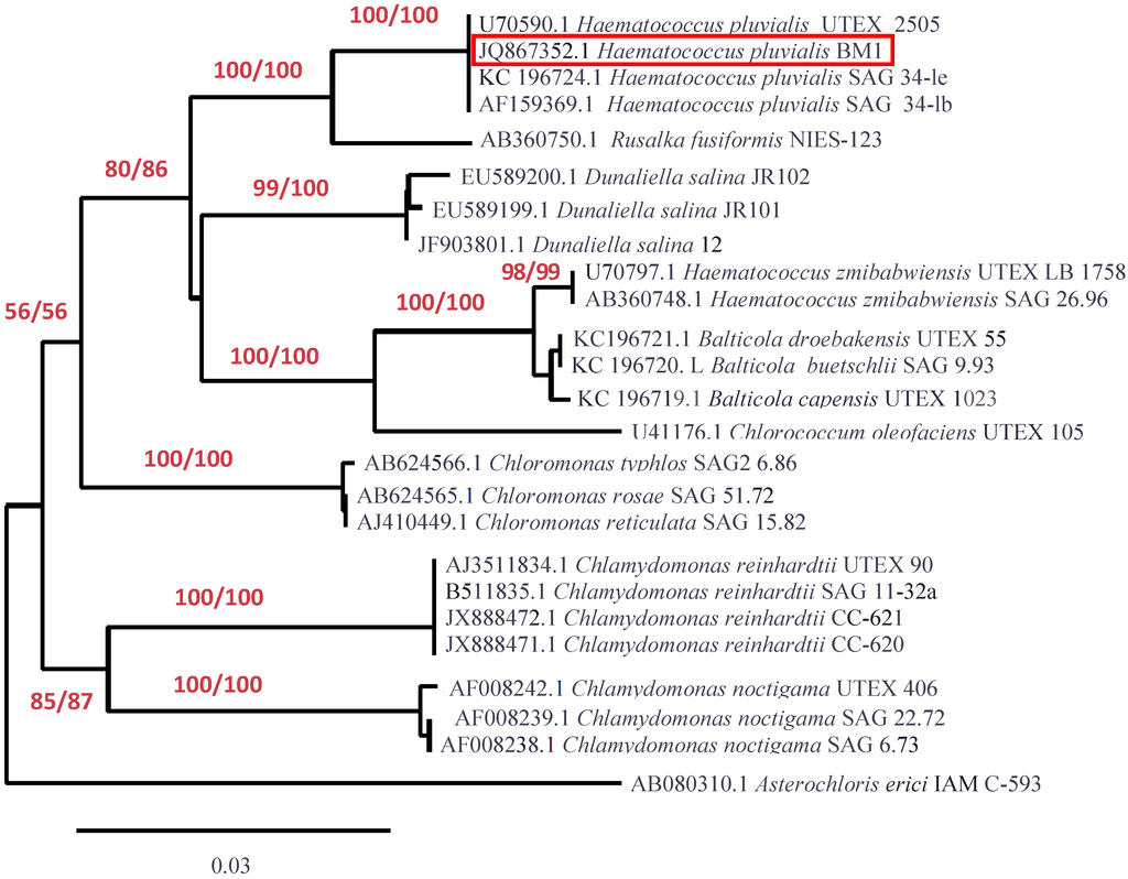 Marinedrugs 12 04504 g004 1024