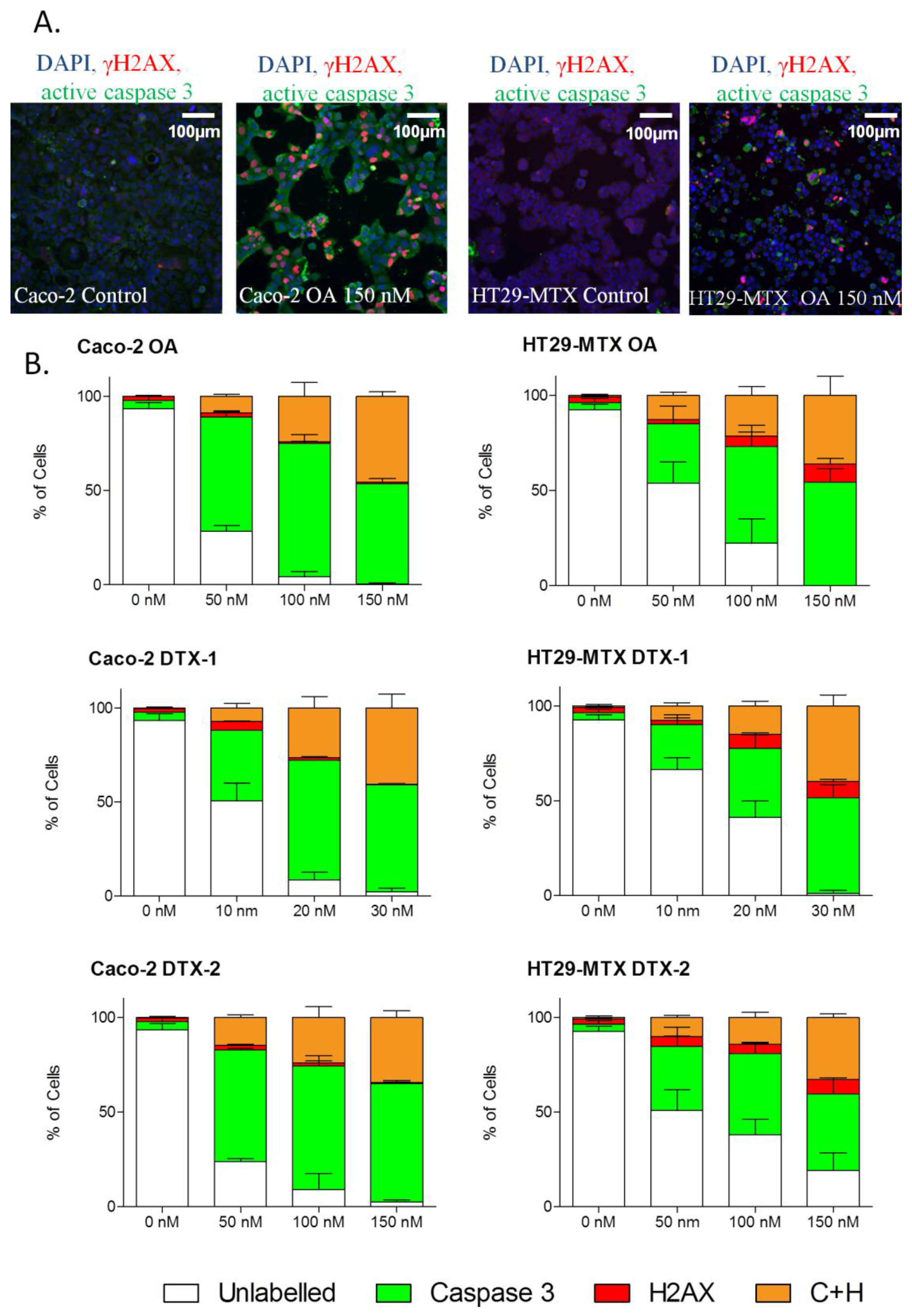 Marinedrugs 12 04616 g006