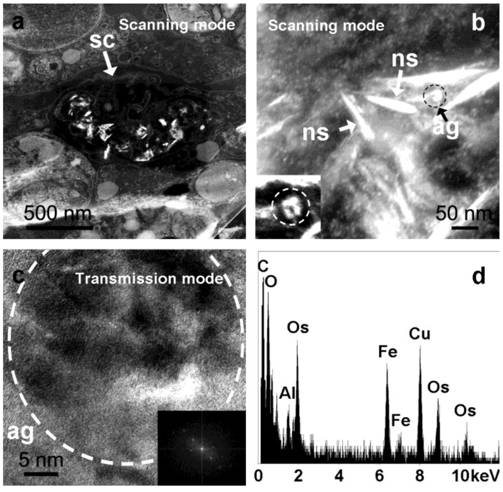 Marinedrugs 12 04659 g001 1024