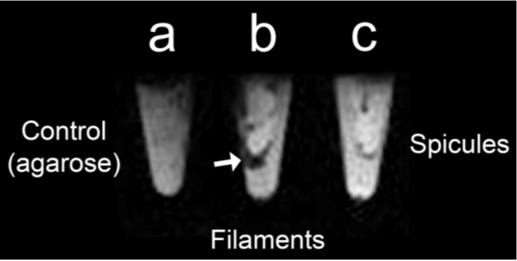 Marinedrugs 12 04659 g005 1024