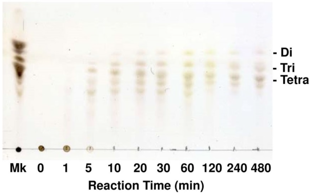 Marinedrugs 12 04693 g006 1024