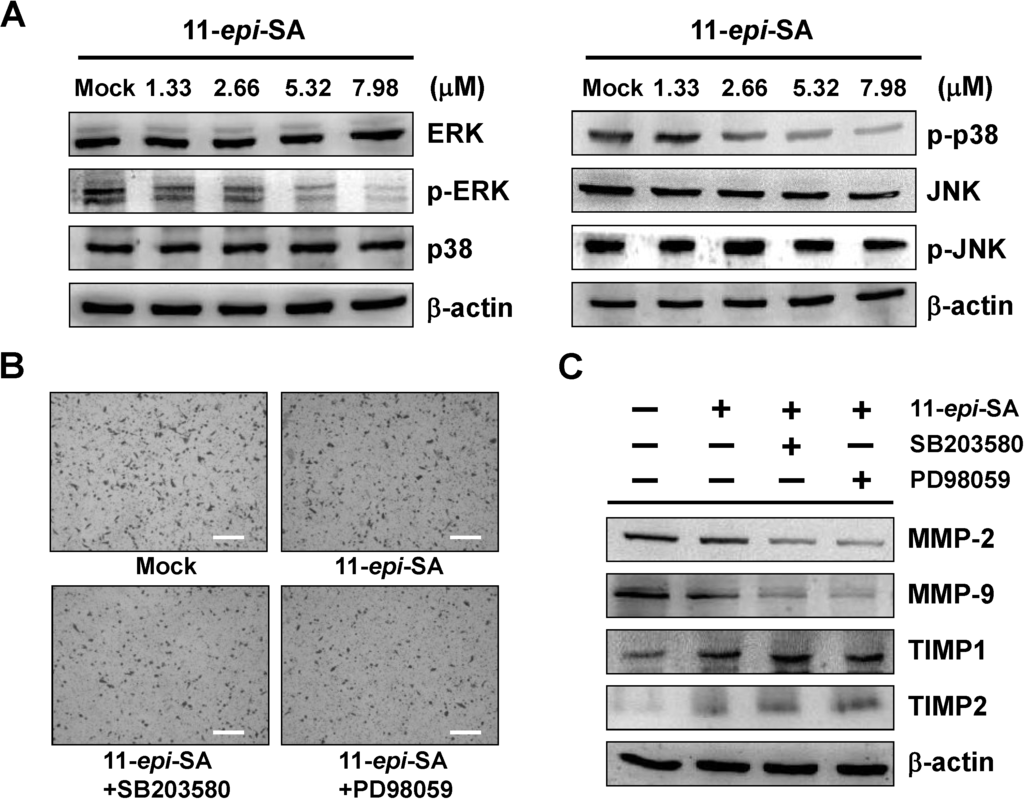 Marinedrugs 12 04783 g004 1024