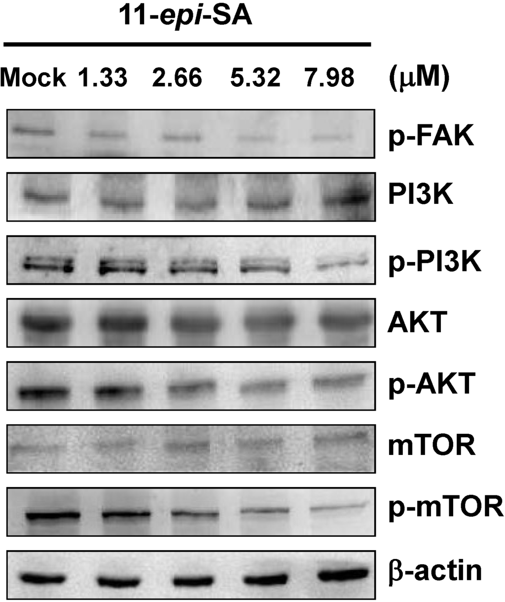 Marinedrugs 12 04783 g005 1024