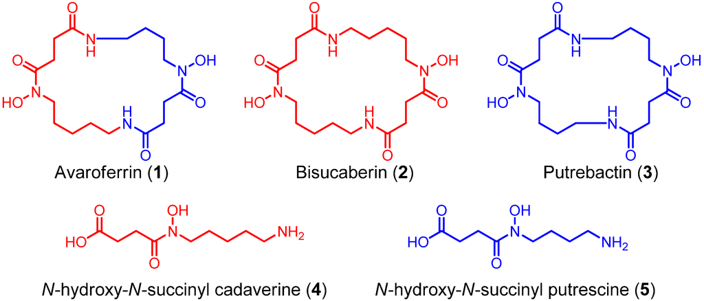 Marinedrugs 12 04799 g002 1024
