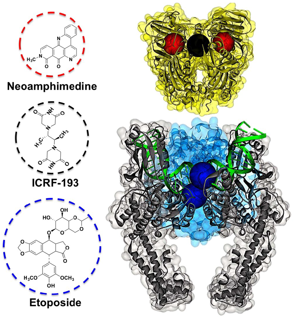 Marinedrugs 12 04833 g001 1024