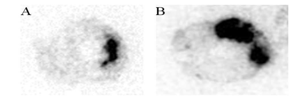 Marinedrugs 12 04851 g007 1024