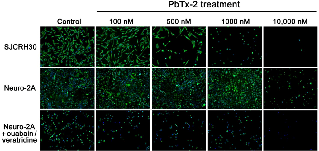 Marinedrugs 12 04868 g005 1024