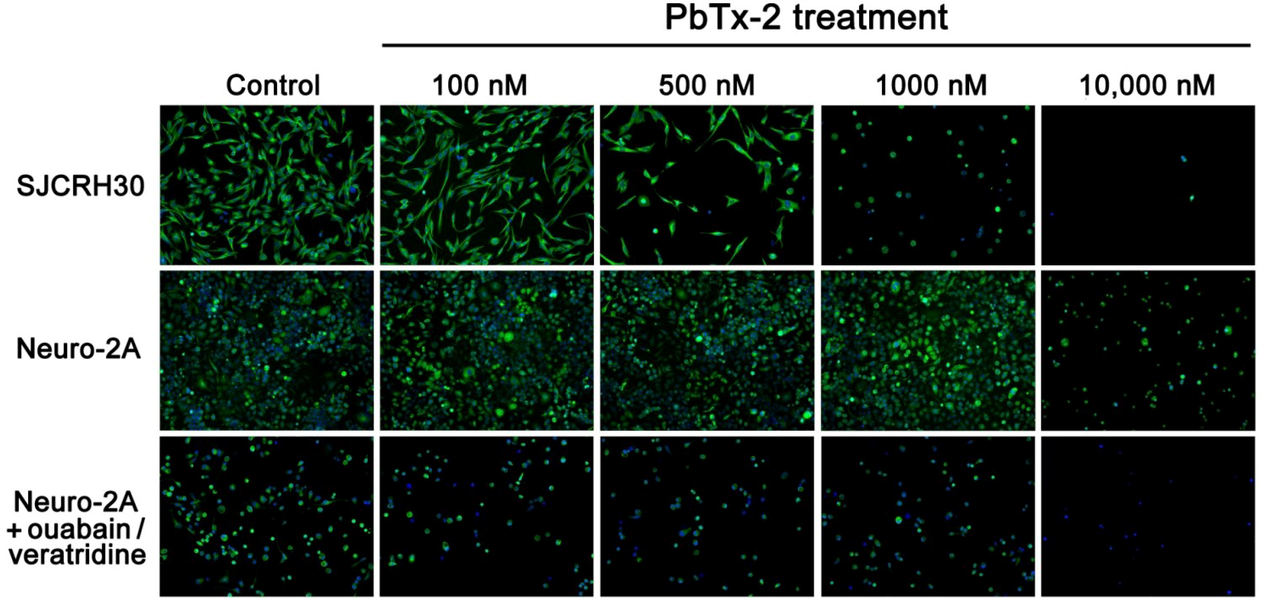 Marinedrugs 12 04868 g005