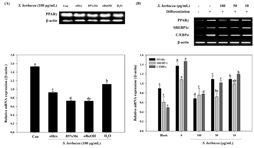 Marinedrugs 12 05132 g003 1024