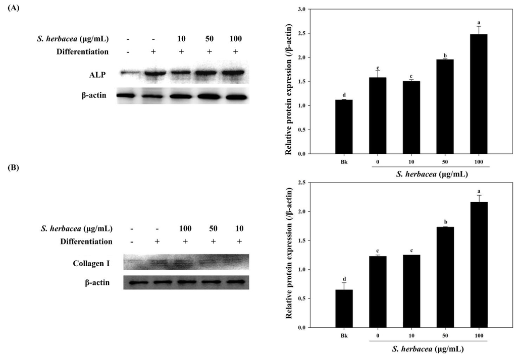 Marinedrugs 12 05132 g006 1024