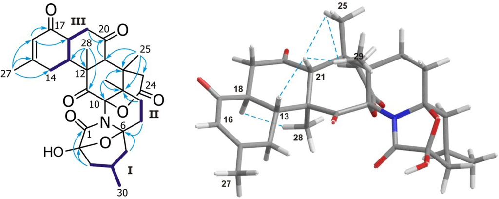 Marinedrugs 12 05188 g003 1024