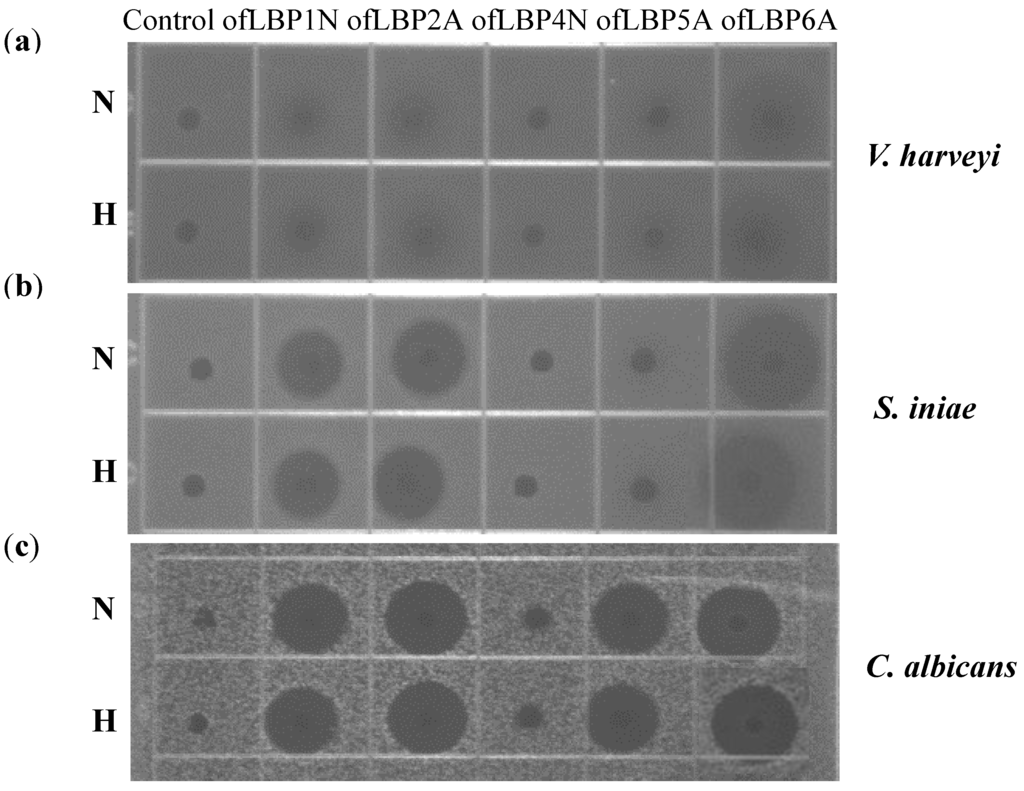 Marinedrugs 12 05240 g006 1024