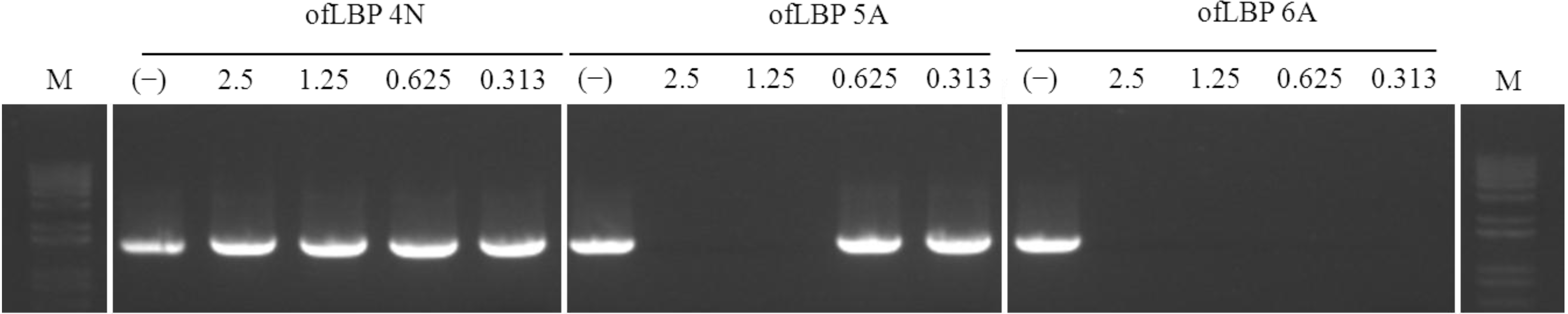 Marinedrugs 12 05240 g008