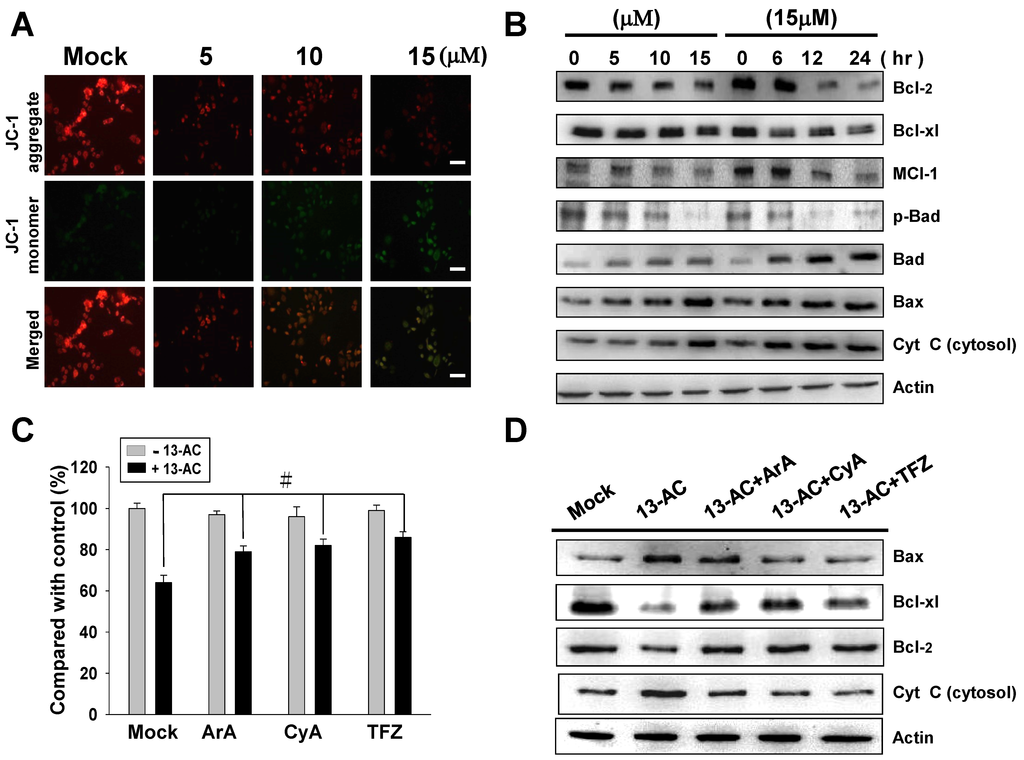 Marinedrugs 12 05295 g003 1024
