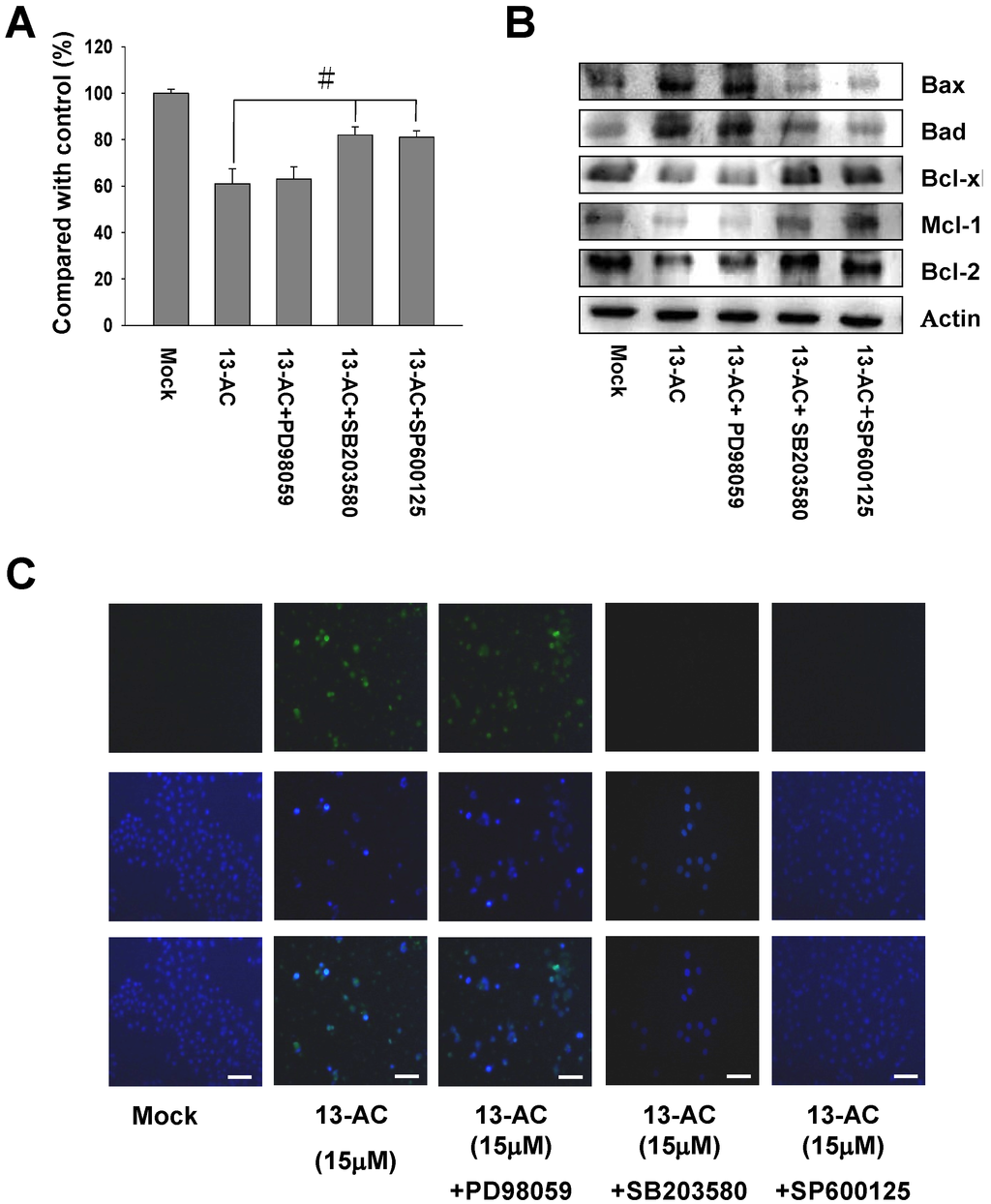 Marinedrugs 12 05295 g006 1024