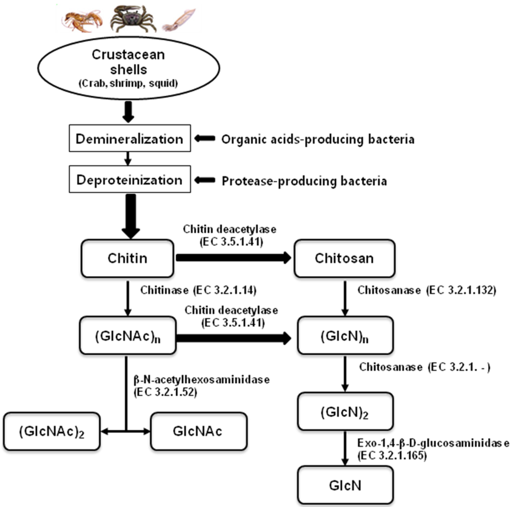 Marinedrugs 12 05328 g001 1024