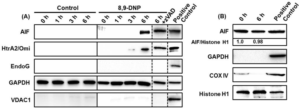 Marinedrugs 12 05576 g005 1024