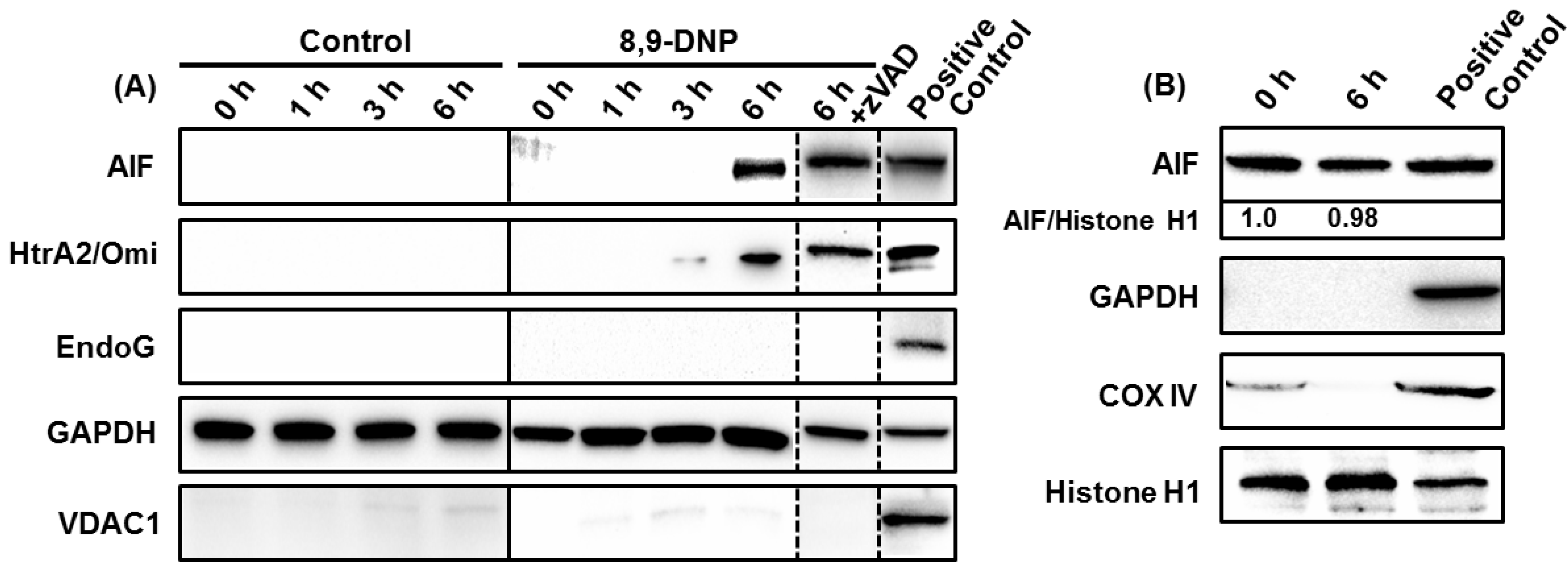 Marinedrugs 12 05576 g005