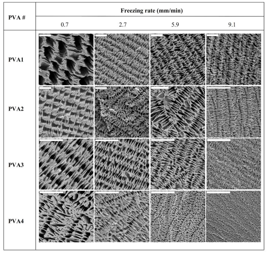 Marinedrugs 12 05619 g002 1024