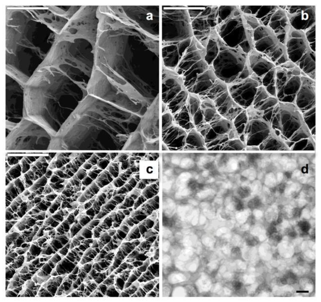 Marinedrugs 12 05619 g004 1024