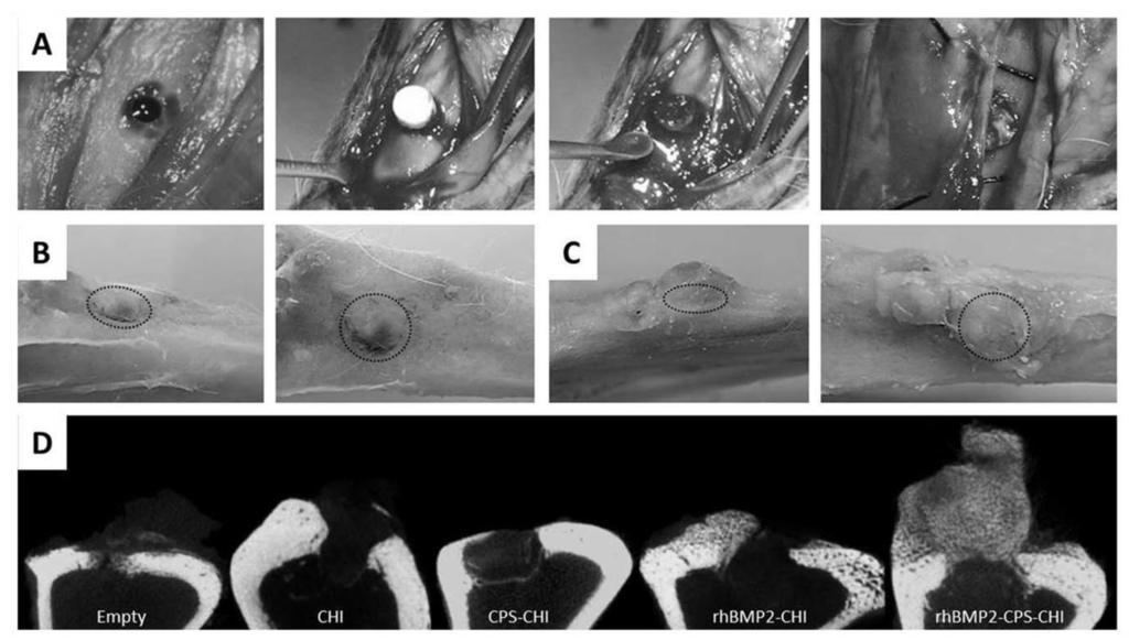 Marinedrugs 12 05619 g005 1024