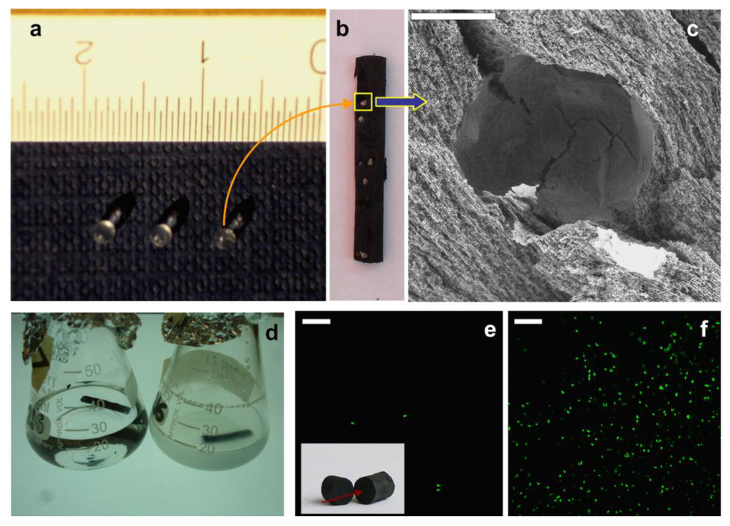 Marinedrugs 12 05619 g010 1024