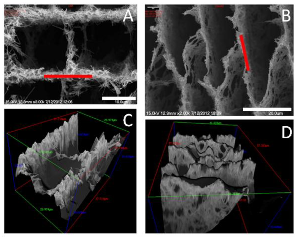 Marinedrugs 12 05619 g012 1024