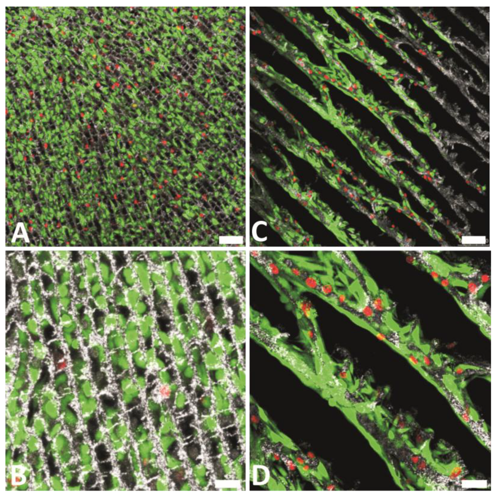 Marinedrugs 12 05619 g013 1024