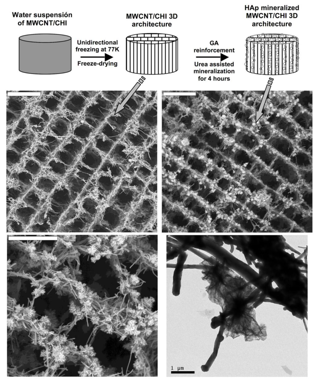 Marinedrugs 12 05619 g015 1024