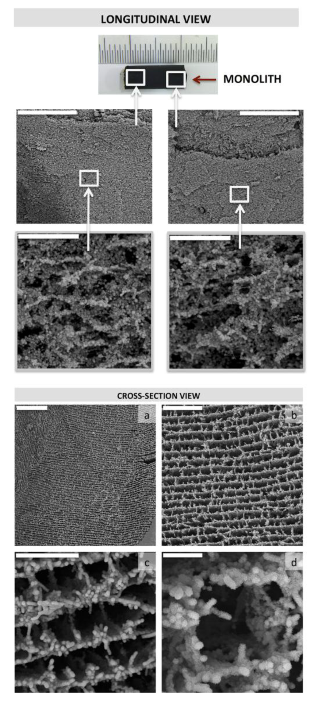 Marinedrugs 12 05619 g016 1024