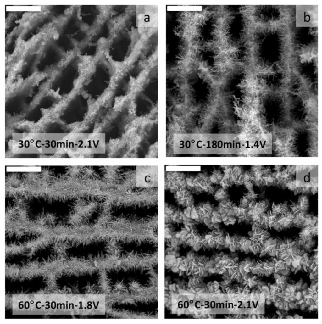 Marinedrugs 12 05619 g017 1024