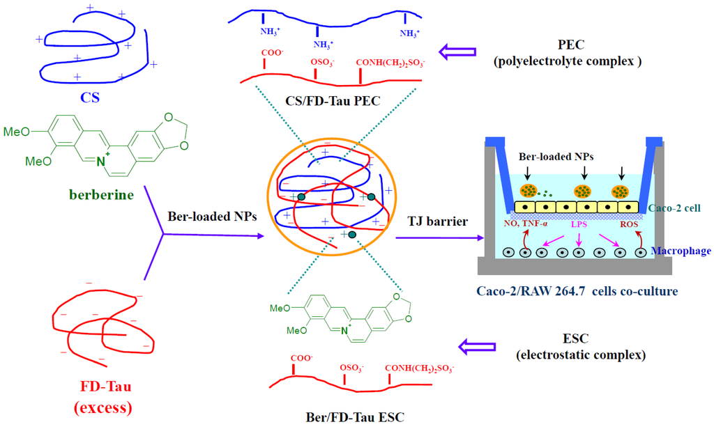 Marinedrugs 12 05677 g001 1024